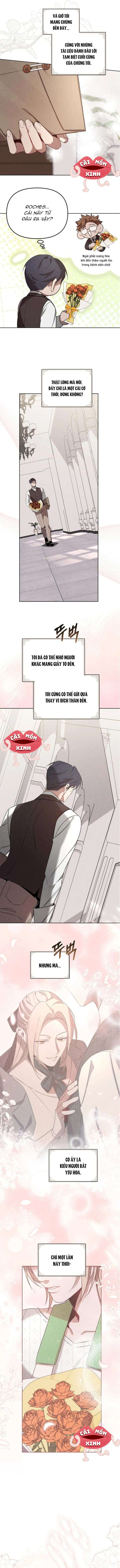 Nơi Đóa Hồng Vàng Úa Tàn Chap 19 - Trang 2