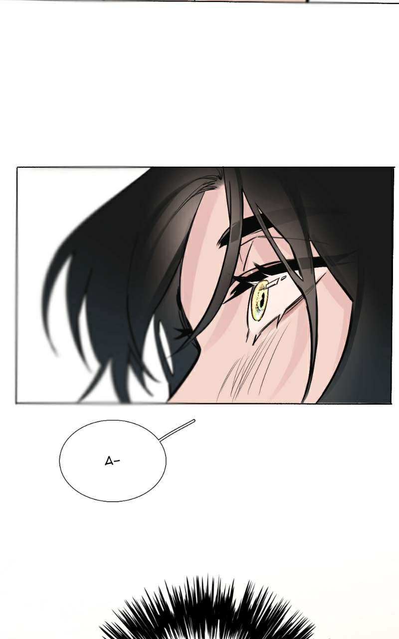 Tình Cờ Thật Đấy Chap 39.1 - Trang 3