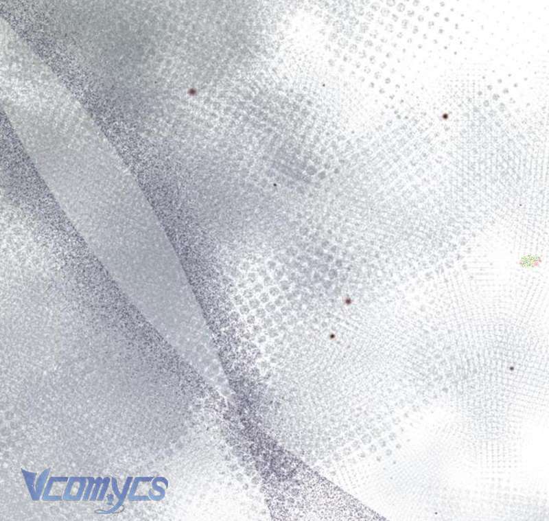 Quyền Lực Của Thư Ký Chap 20 - Trang 4