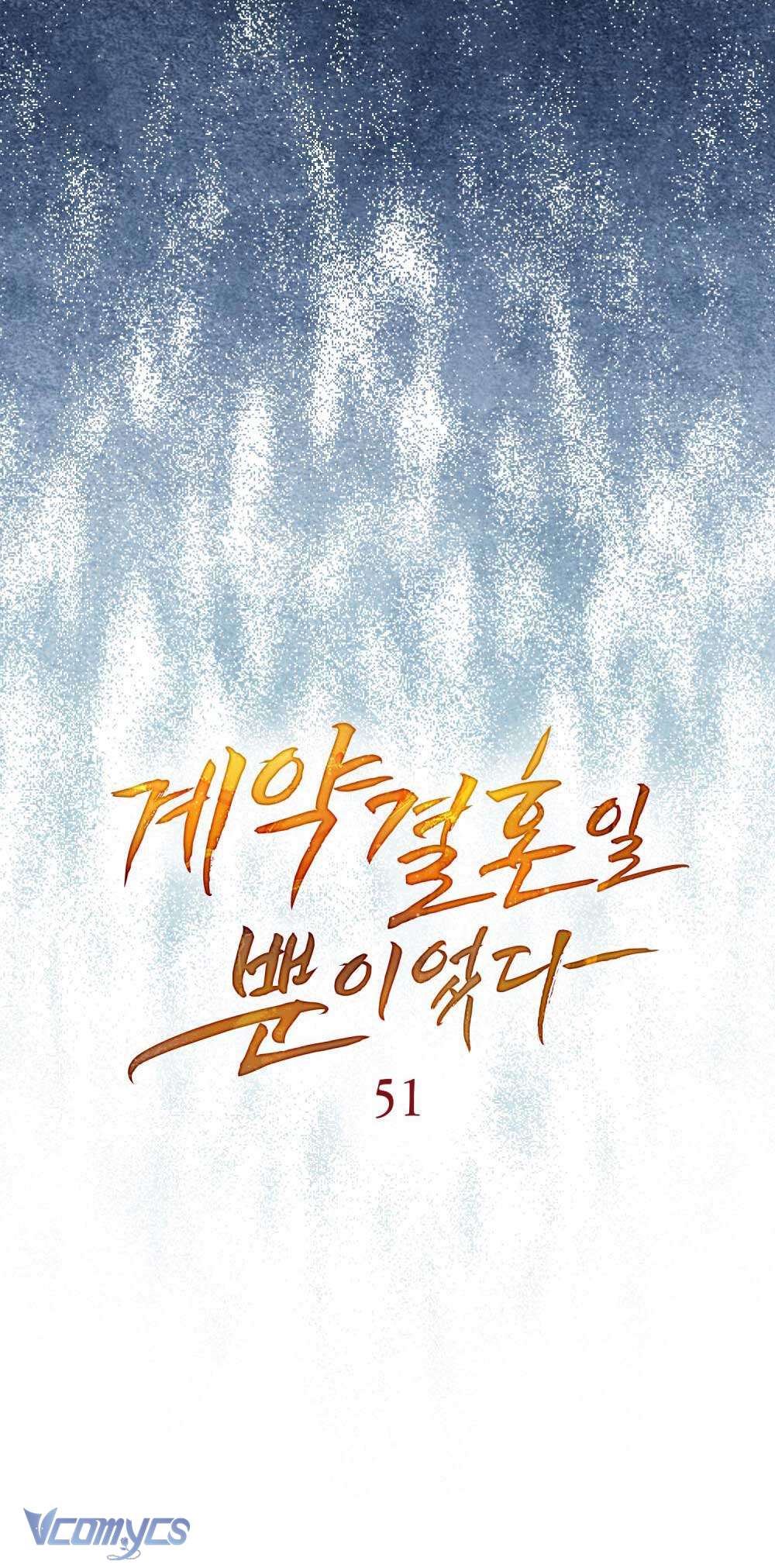 Hôn Nhân Khế Ước Chap 51 - Trang 3