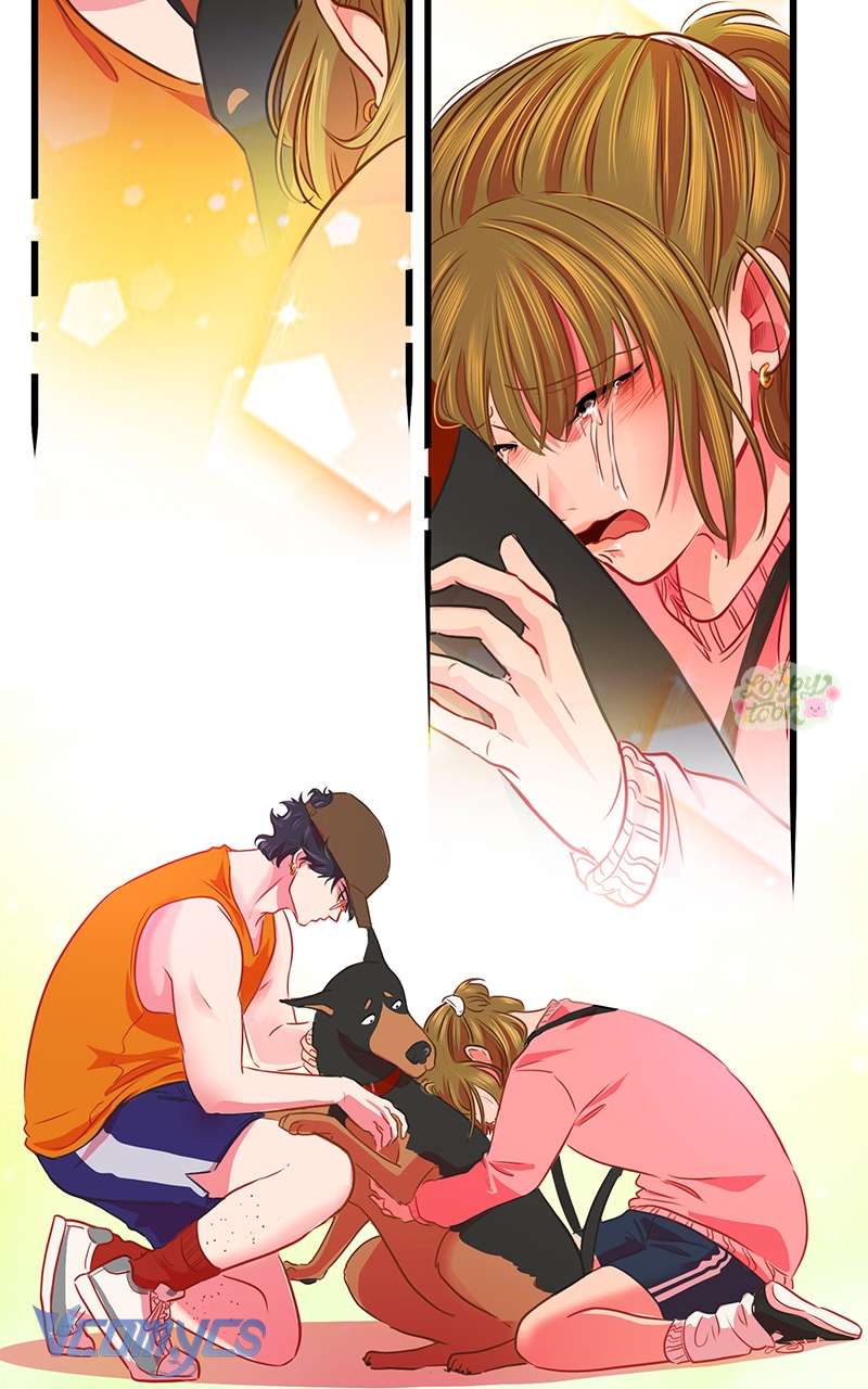 Chú Cún Dạo Bước Cùng Anh Chap 9 - Trang 2