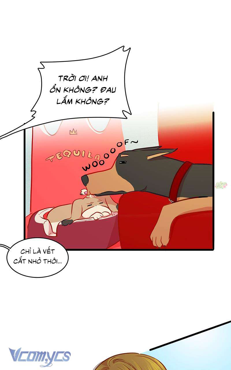 Chú Cún Dạo Bước Cùng Anh Chap 10 - Trang 2