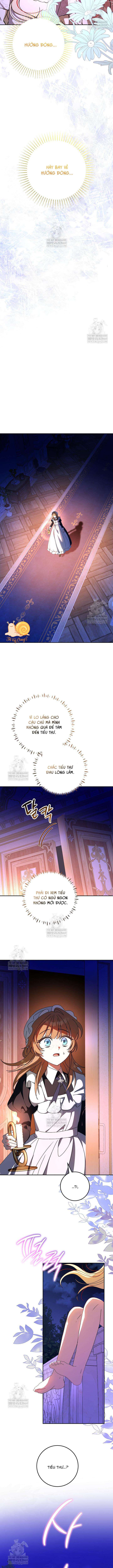 Nàng Chim Được Dinh Thự Sói Yêu Thương Chap 65 - Trang 2