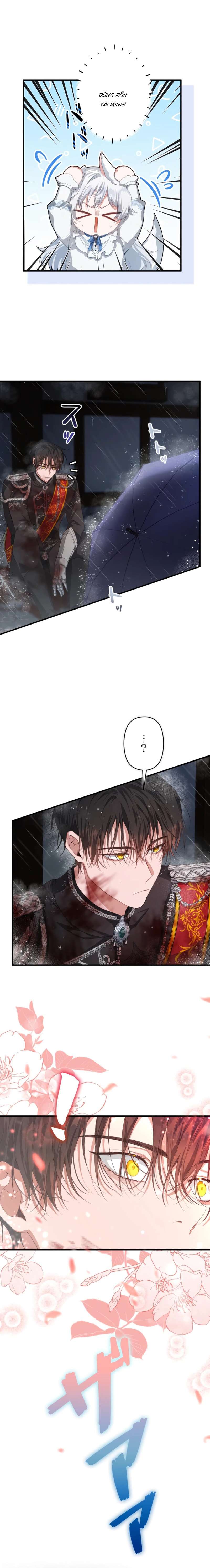 Hôn Phu Được Định Sẵn Lại Chính Là Kẻ Bắc Cóc Chap 3 - Trang 3