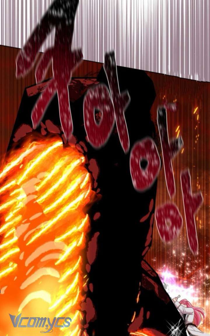 Sự Điều Trị Đặc Biệt Của Tinh Linh Chap 102 - Next Chap 103