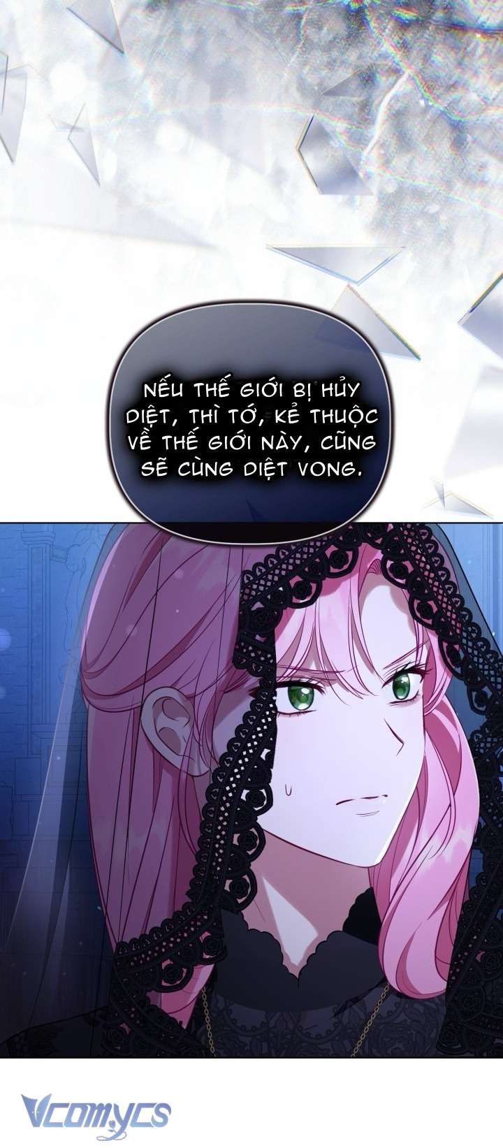 Sự Điều Trị Đặc Biệt Của Tinh Linh Chap 117 - Trang 3