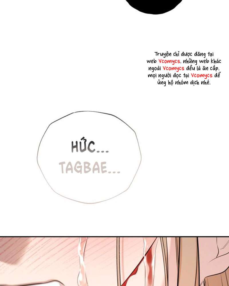 Trận Đấu Đồng Đội Của Những Tài Xế Xe Tải Chap 34 - Trang 4