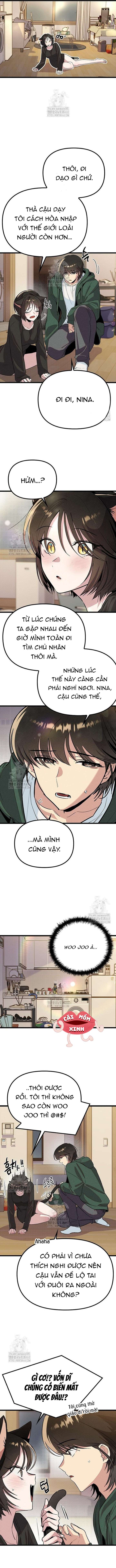 Thiếu Nữ 12 Con Giáp Chap 21 - Next 