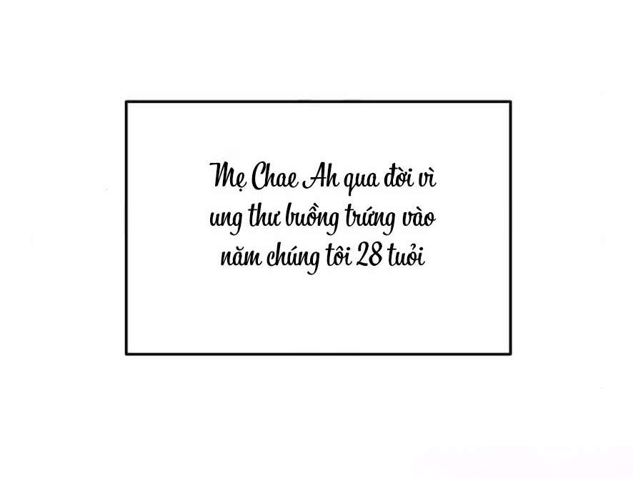 Cẩn Thận Va Phải Tình Yêu Chap 30 - Trang 3