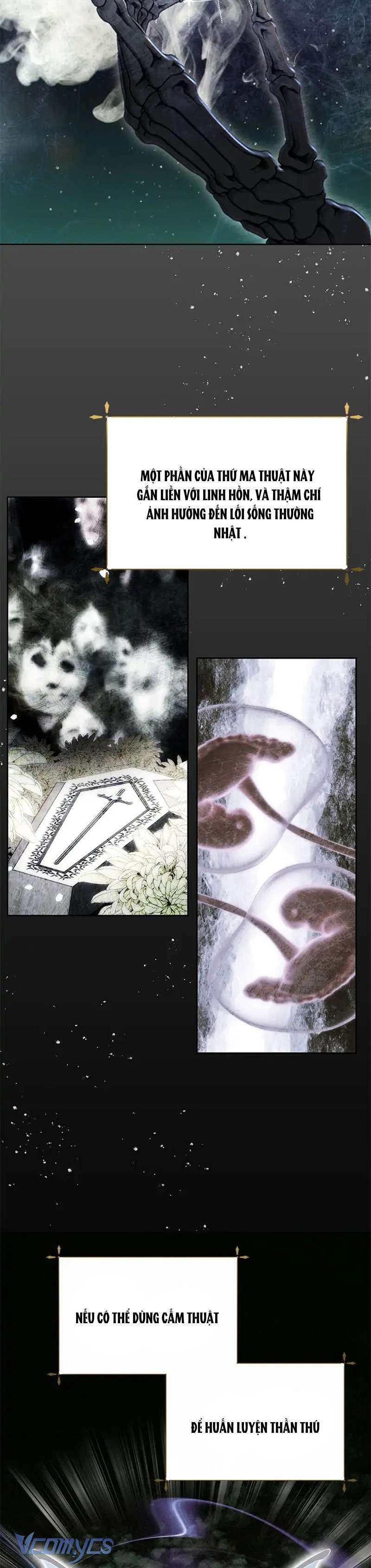 [PNT] Phía Sau Mặt Nạ Của Nam Chính Hiền Lành Chap 24 - Trang 2