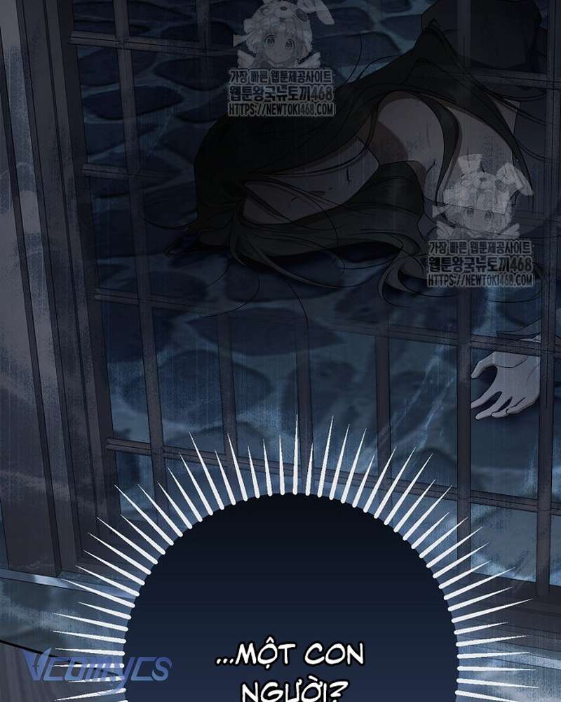 Các Nam Chính Đã Bị Nữ Phụ Cướp Mất Chap 69 - Trang 2