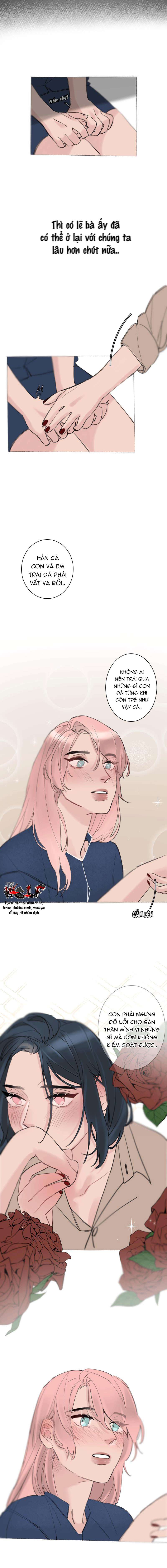 Tình Cờ Thật Đấy Chap 24.3 - Next Chap 24.2