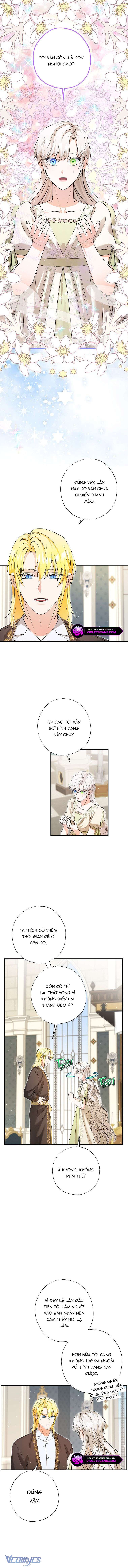 Trở Thành Miêu Nữ Của Hoàng Đế Chap 42 - Trang 4