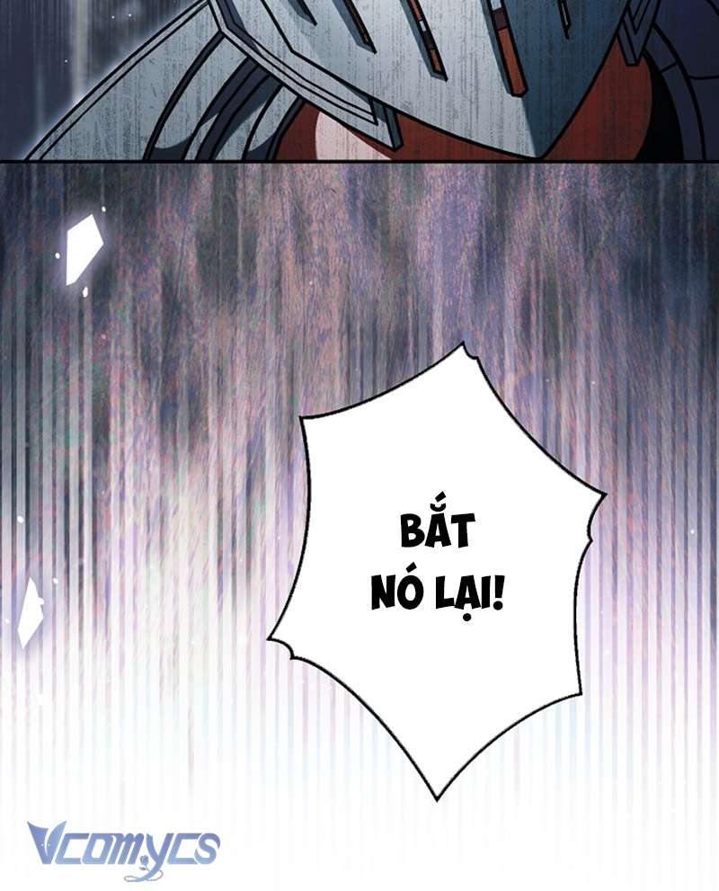 Các Nam Chính Đã Bị Nữ Phụ Cướp Mất Chap 60 - Trang 3