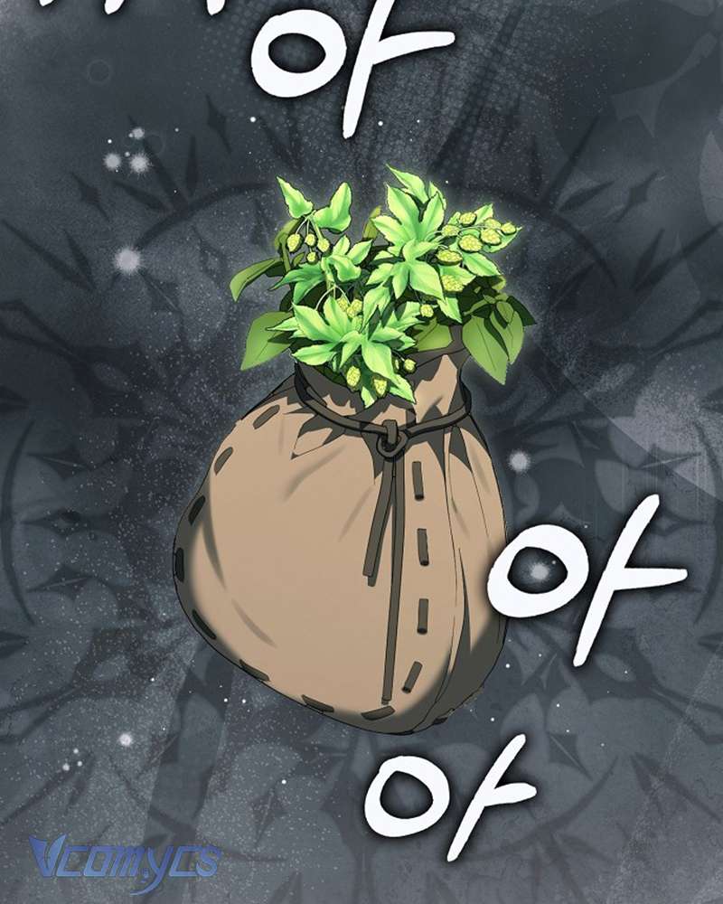 Các Nam Chính Đã Bị Nữ Phụ Cướp Mất Chap 55 - Trang 3