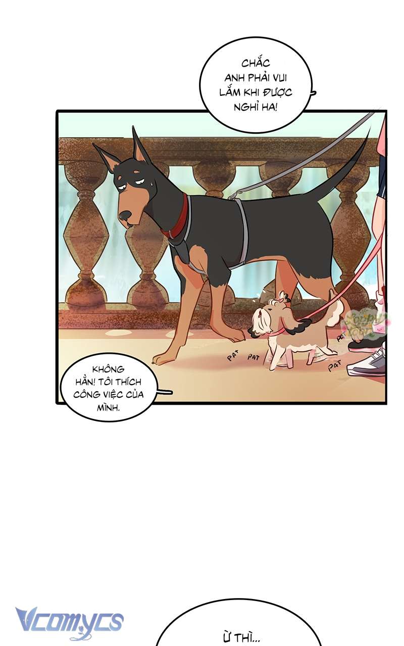 Chú Cún Dạo Bước Cùng Anh Chap 8 - Trang 2