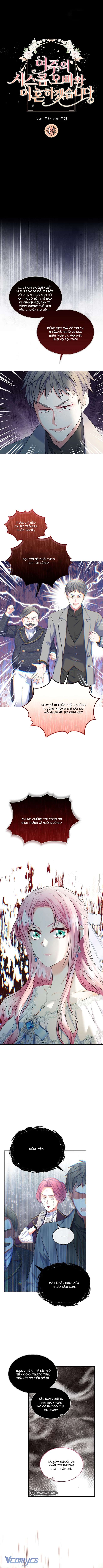 Tôi sẽ ly hôn với anh trai nữ chính Chap 44 - Trang 2