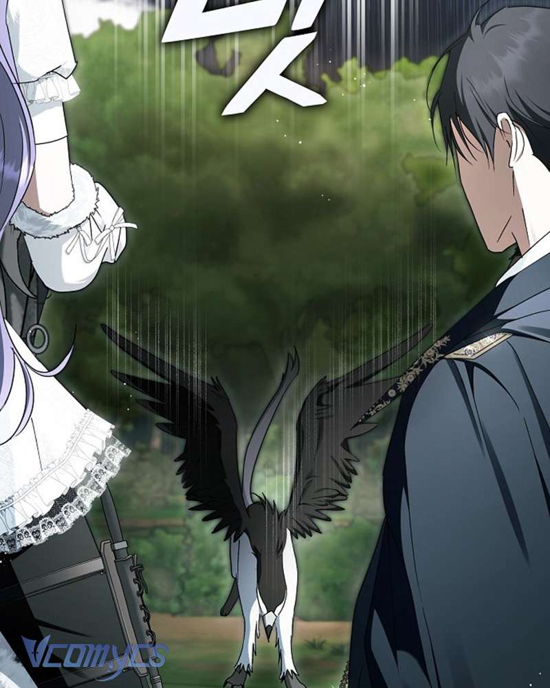 Các Nam Chính Đã Bị Nữ Phụ Cướp Mất Chap 60 - Trang 3