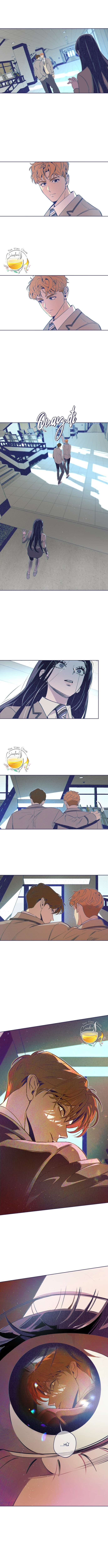 Trắc Nghiệm Bốn Lựa Chọn Chap 8 - Trang 2