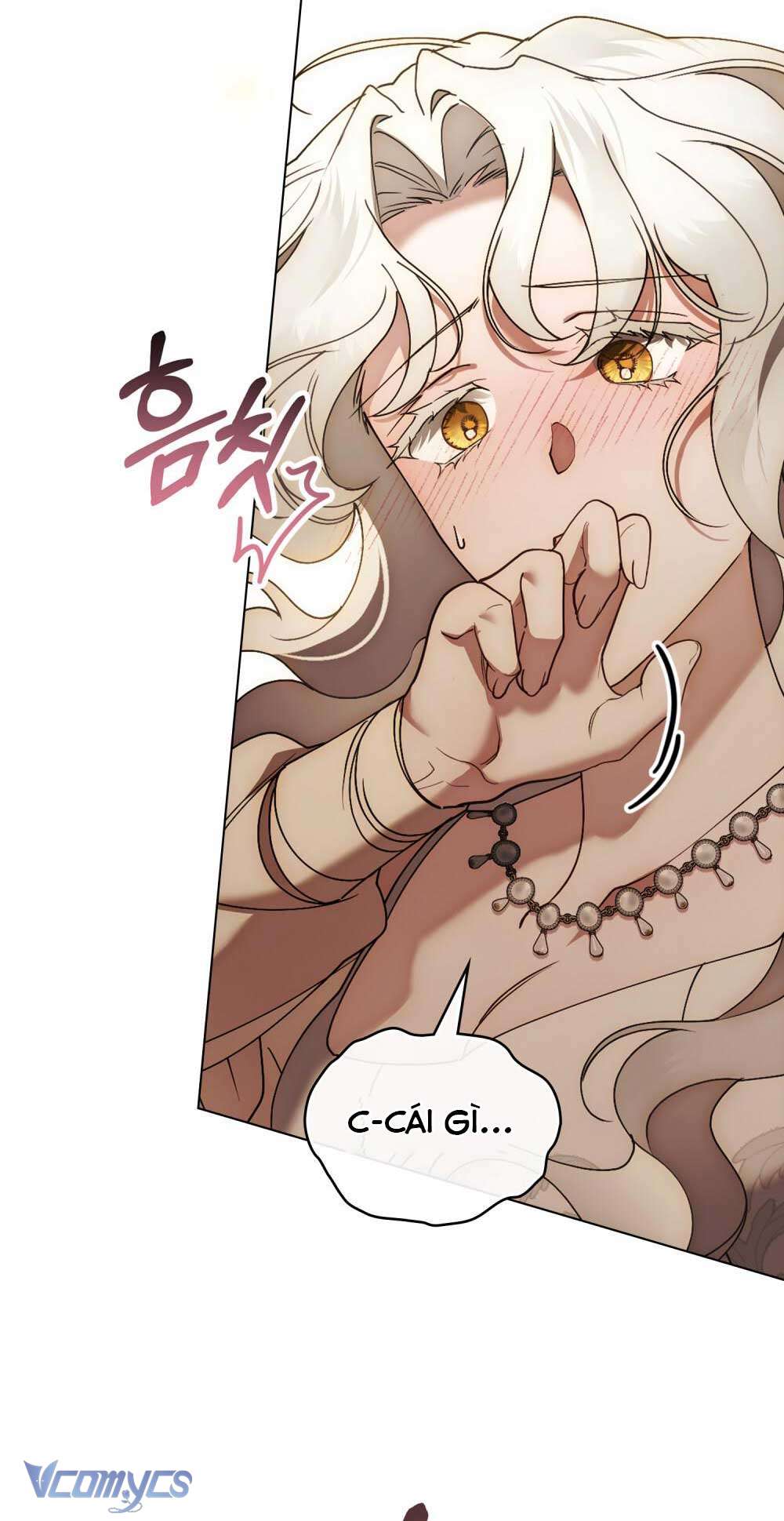 Hôn Nhân Khế Ước Chap 56 - Trang 3