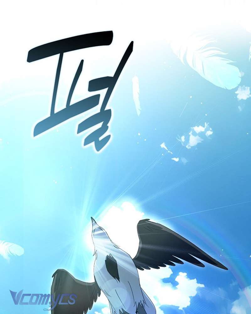 Các Nam Chính Đã Bị Nữ Phụ Cướp Mất Chap 60 - Trang 3