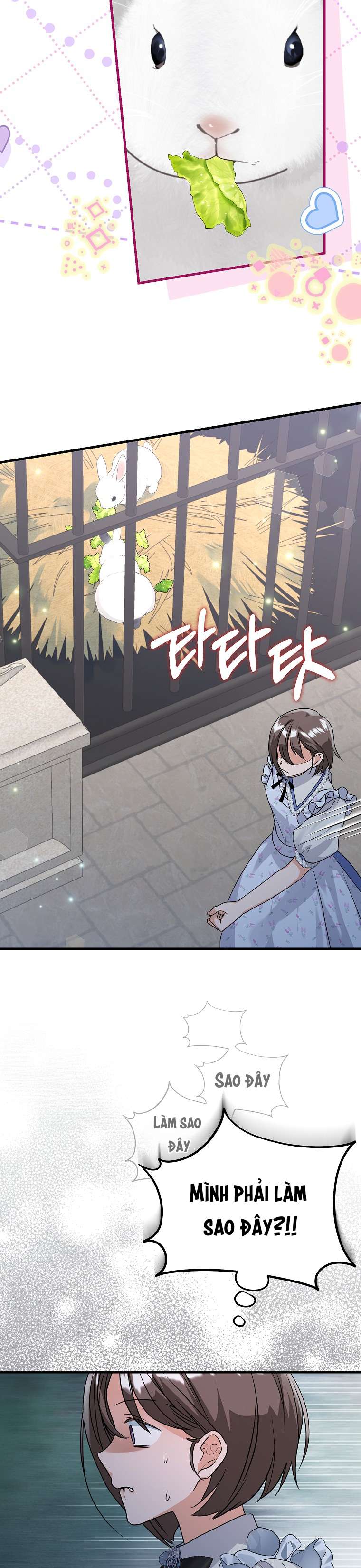 Kẻ Phản Diện Có Thời Hạn Ủng Hộ Tôi Hủy Hôn Chap 45 - Trang 3