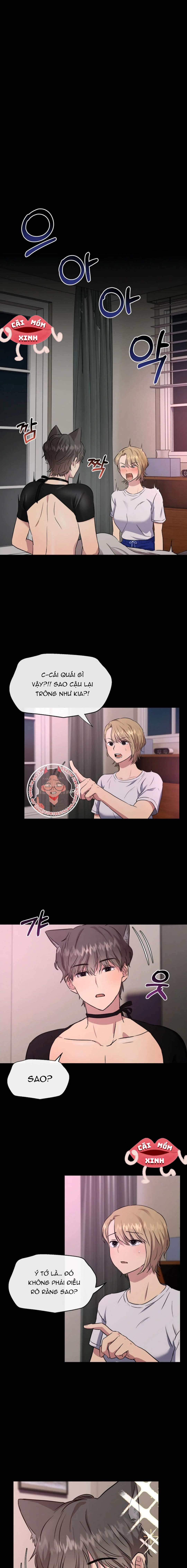 Twenty Nights Twenty Nights-Chap 3 - Trang 2