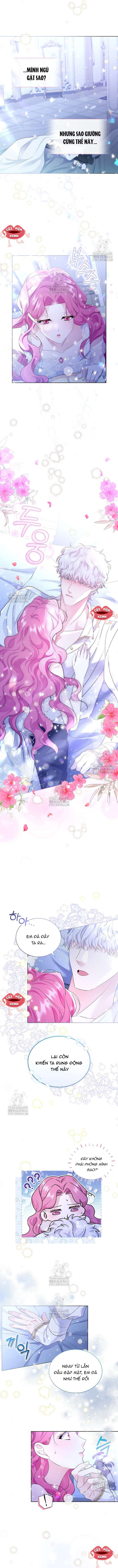 Khi Bị Nam Chính Dịu Dàng Nhưng Cố Chấp Ám Ảnh Chap 10 - Trang 2