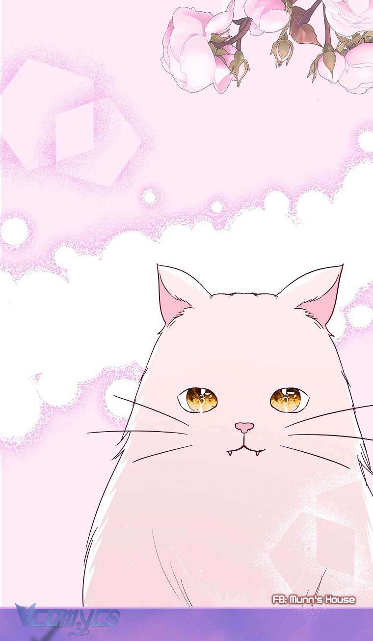 Này Boss Phản Diện, Tôi Có Thể Làm Mọi Thứ Trừ Cưới Ngài Chap 36 - Trang 4