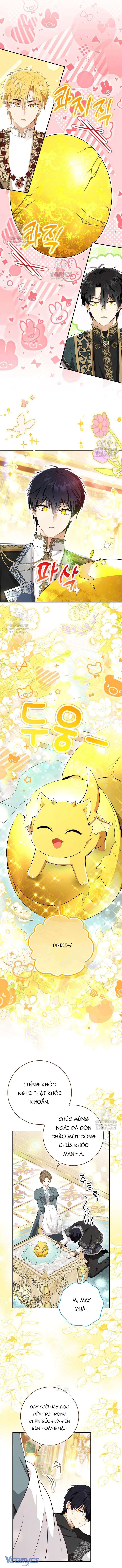 Sóc Con Tài Năng Chap 128 - Trang 2