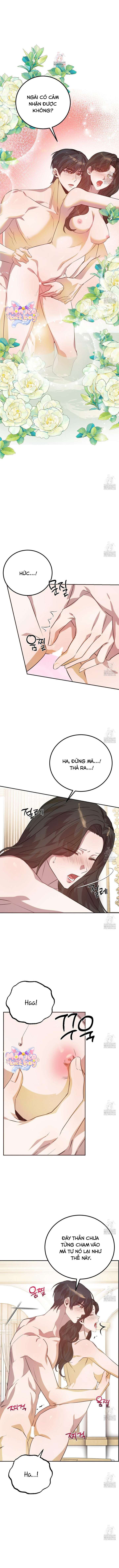 [18+] Hậu Cung Của Nữ Hoàng Chap 23 - Trang 3