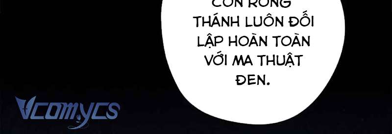 Các Nam Chính Đã Bị Nữ Phụ Cướp Mất Chap 40 - Trang 3