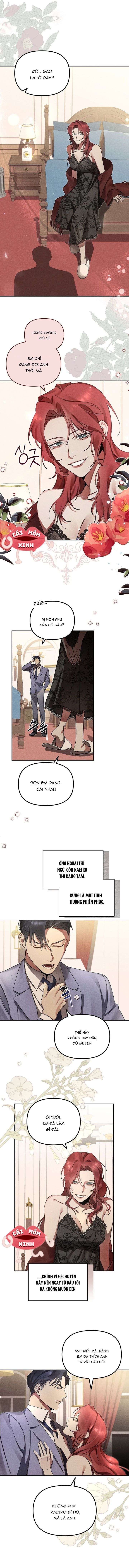 Nơi Đóa Hồng Vàng Úa Tàn Chapter 2 - Trang 3