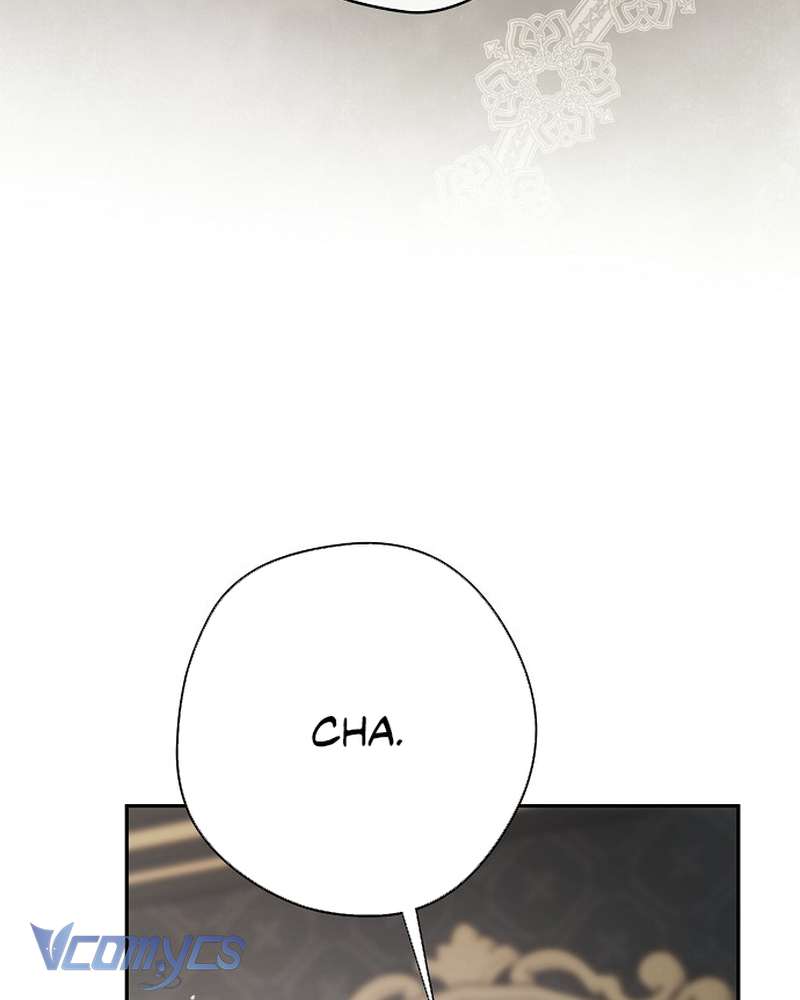 Các Nam Chính Đã Bị Nữ Phụ Cướp Mất Chap 65 - Trang 2