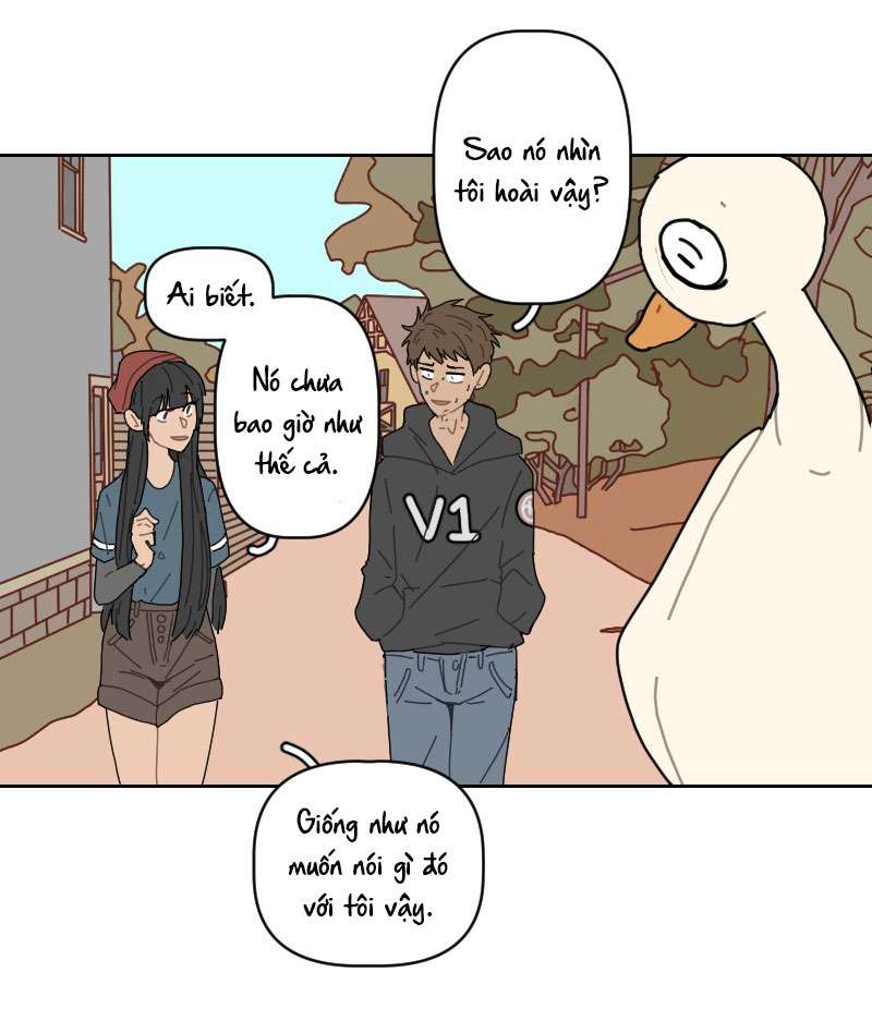 Cái Vịt Gì Vậy?! Chap 2 - Trang 2
