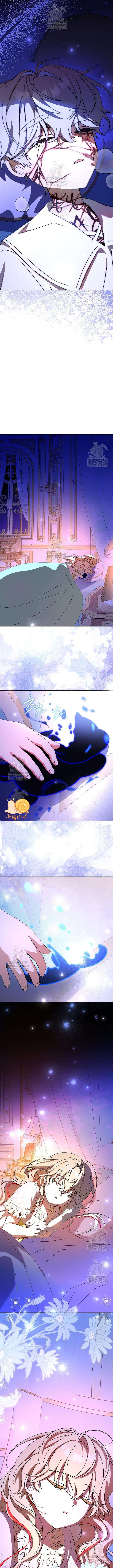 Nàng Chim Được Dinh Thự Sói Yêu Thương Chap 65 - Trang 2