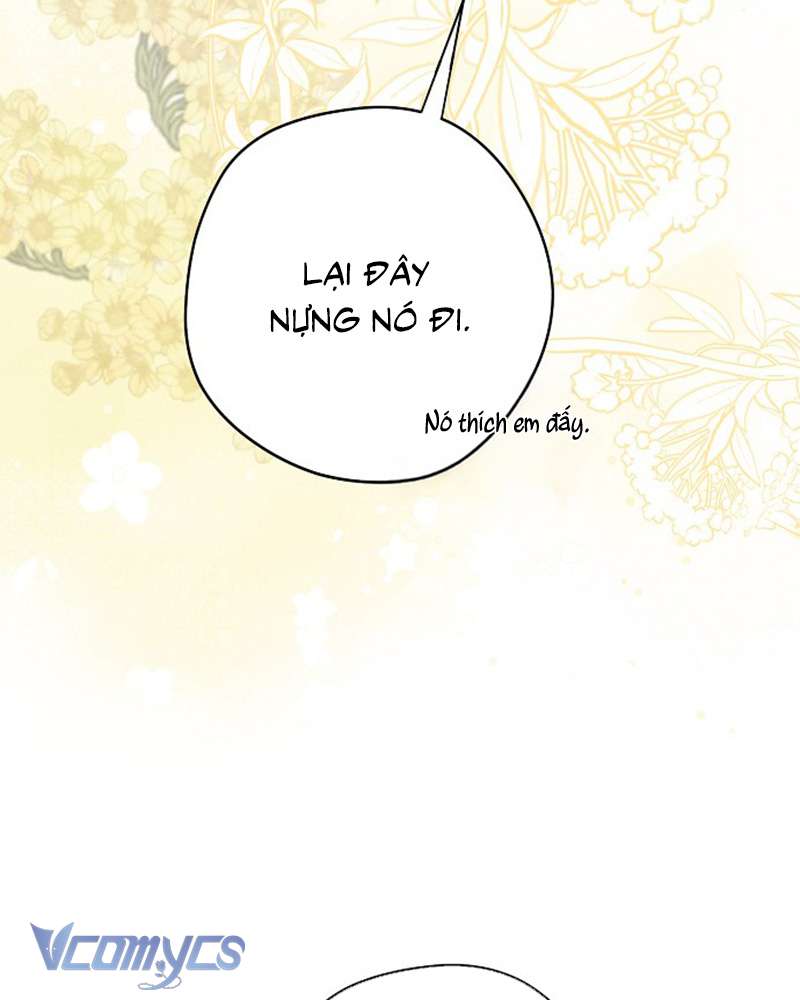 Các Nam Chính Đã Bị Nữ Phụ Cướp Mất Chap 60 - Trang 3