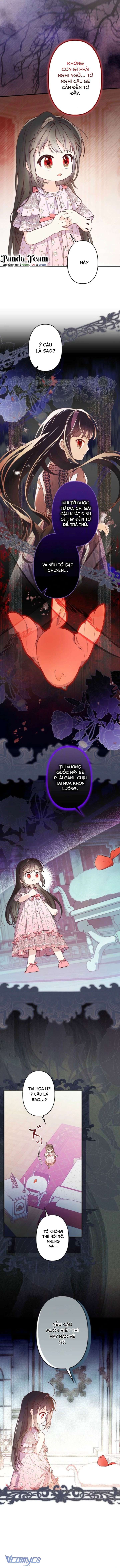 Kiếp Này Em Sẽ Không Sống Dưới Cái Bóng Của Người Chị Song Sinh Chap 11 - Trang 3