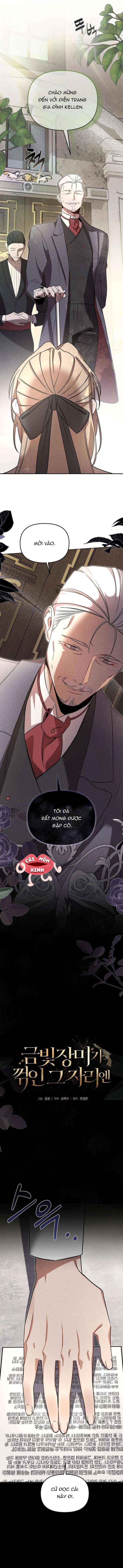 Nơi Đóa Hồng Vàng Úa Tàn Chap 8 - Trang 2