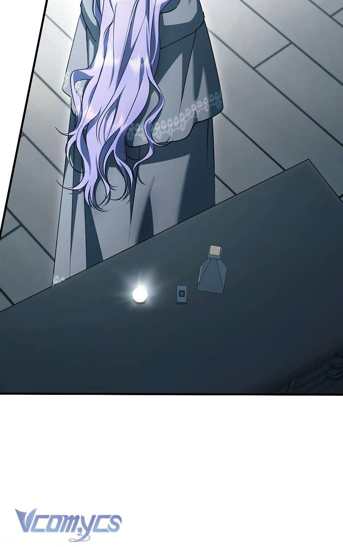 Các Nam Chính Đã Bị Nữ Phụ Cướp Mất Chap 43 - Trang 3