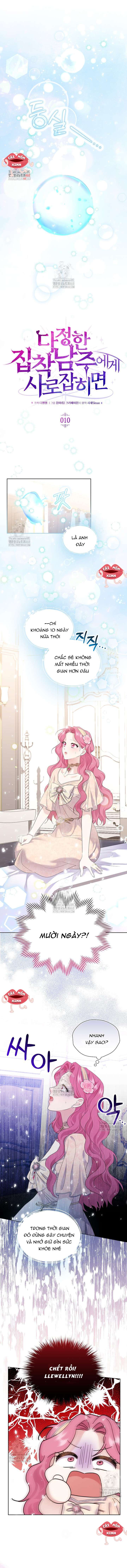 Khi Bị Nam Chính Dịu Dàng Nhưng Cố Chấp Ám Ảnh Chap 10 - Trang 2