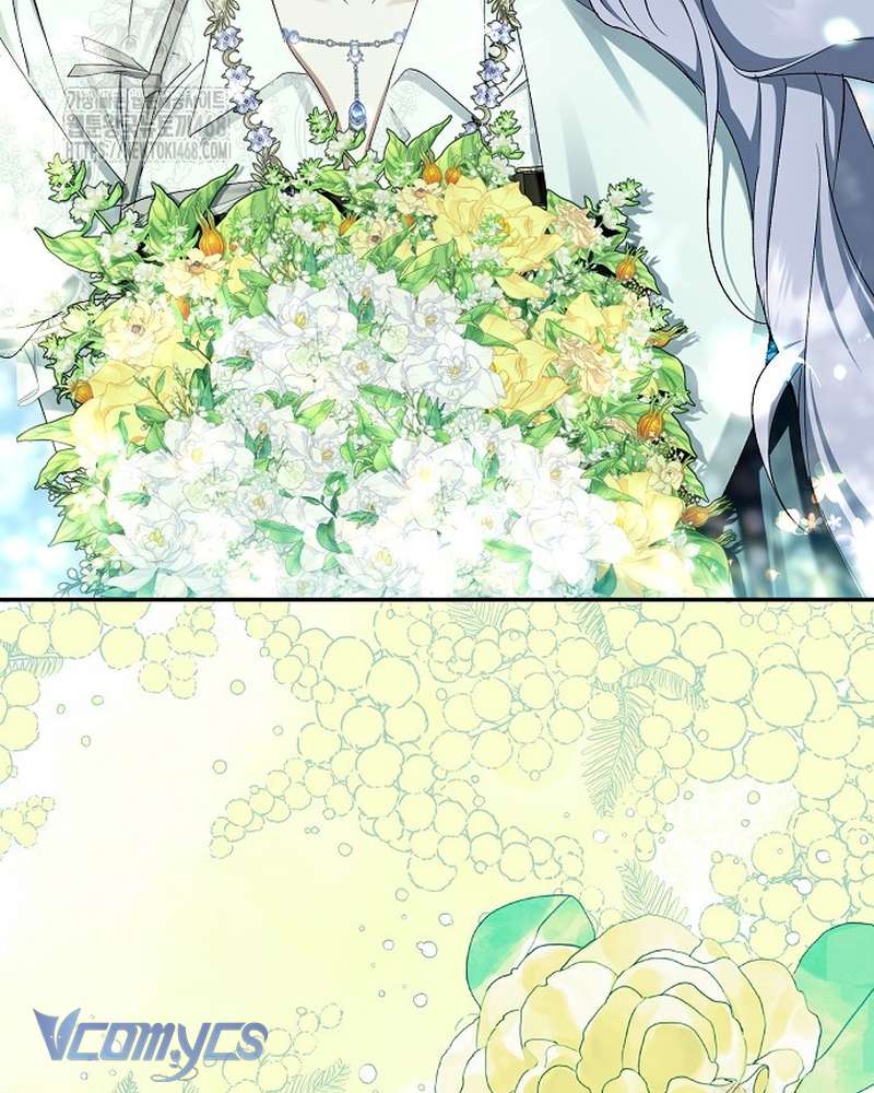 Các Nam Chính Đã Bị Nữ Phụ Cướp Mất Chap 63 - Trang 2