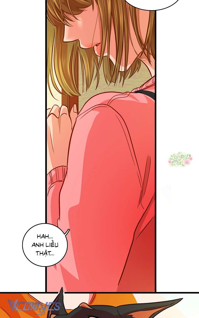 Chú Cún Dạo Bước Cùng Anh Chap 9 - Trang 2