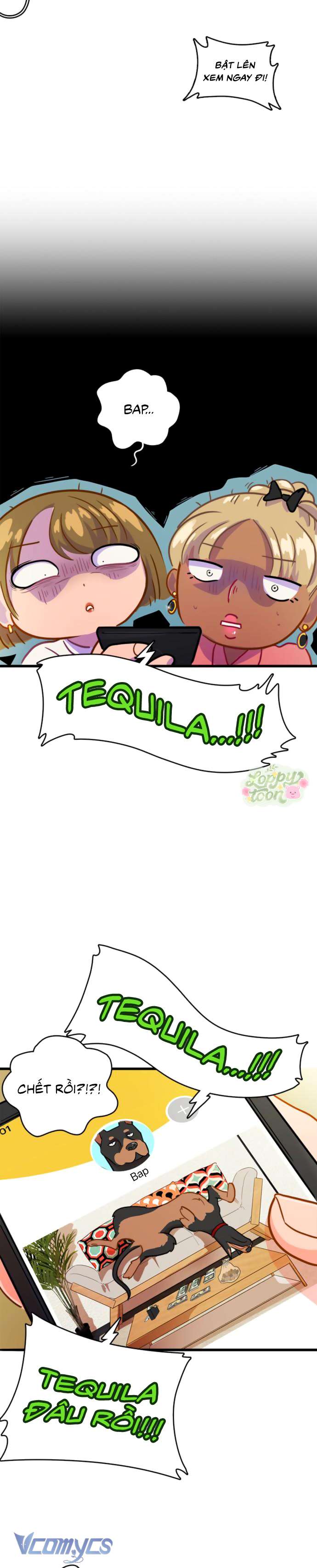 Chú Cún Dạo Bước Cùng Anh Chap 2 - Trang 2