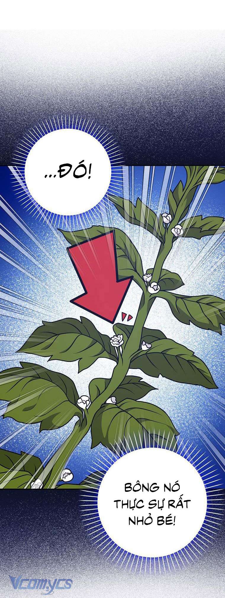 Tôi Thề Chúng Ta Chỉ Là Bạn Chapter 27 - Next Chapter 28