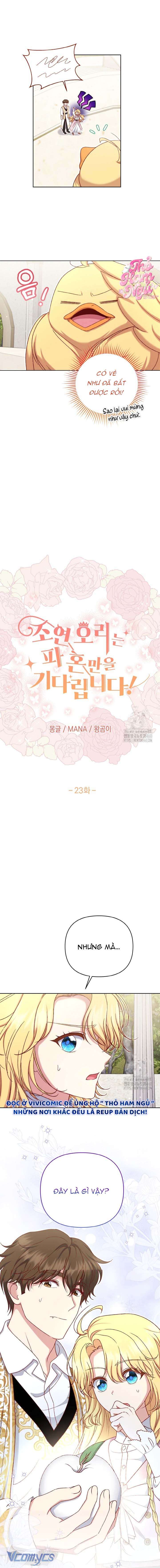 Nàng Vịt Chờ Ngày Hủy Hôn Chap 23 - Trang 2