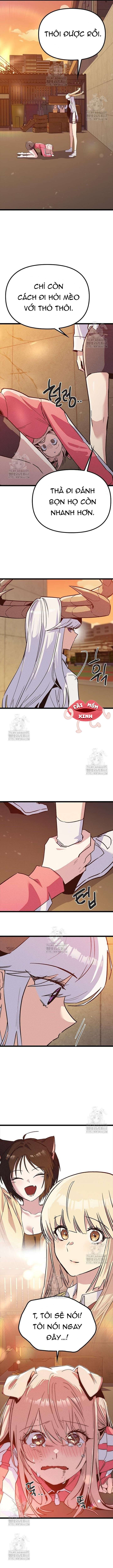 Thiếu Nữ 12 Con Giáp Chap 17 - Trang 2