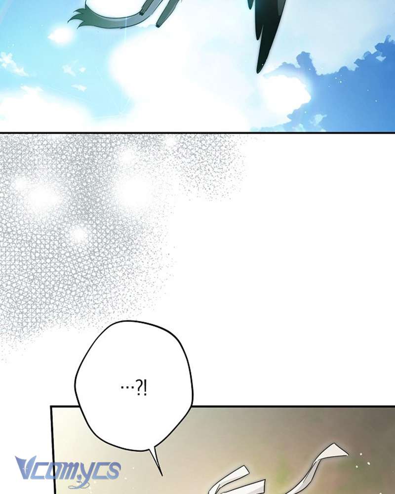 Các Nam Chính Đã Bị Nữ Phụ Cướp Mất Chap 60 - Trang 3