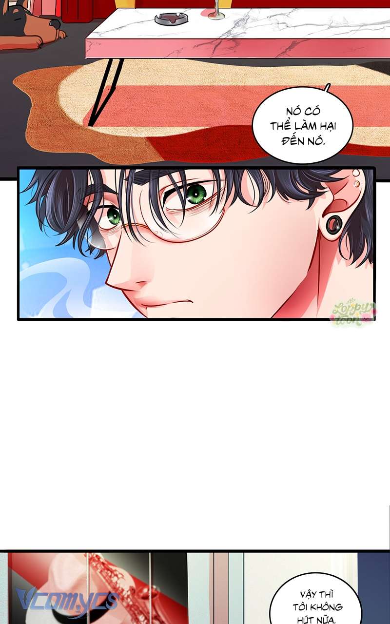 Chú Cún Dạo Bước Cùng Anh Chap 11 - Trang 2