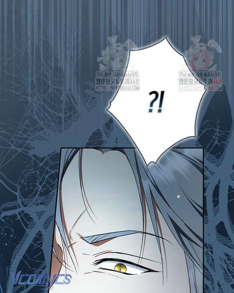 Các Nam Chính Đã Bị Nữ Phụ Cướp Mất Chap 62 - Trang 2